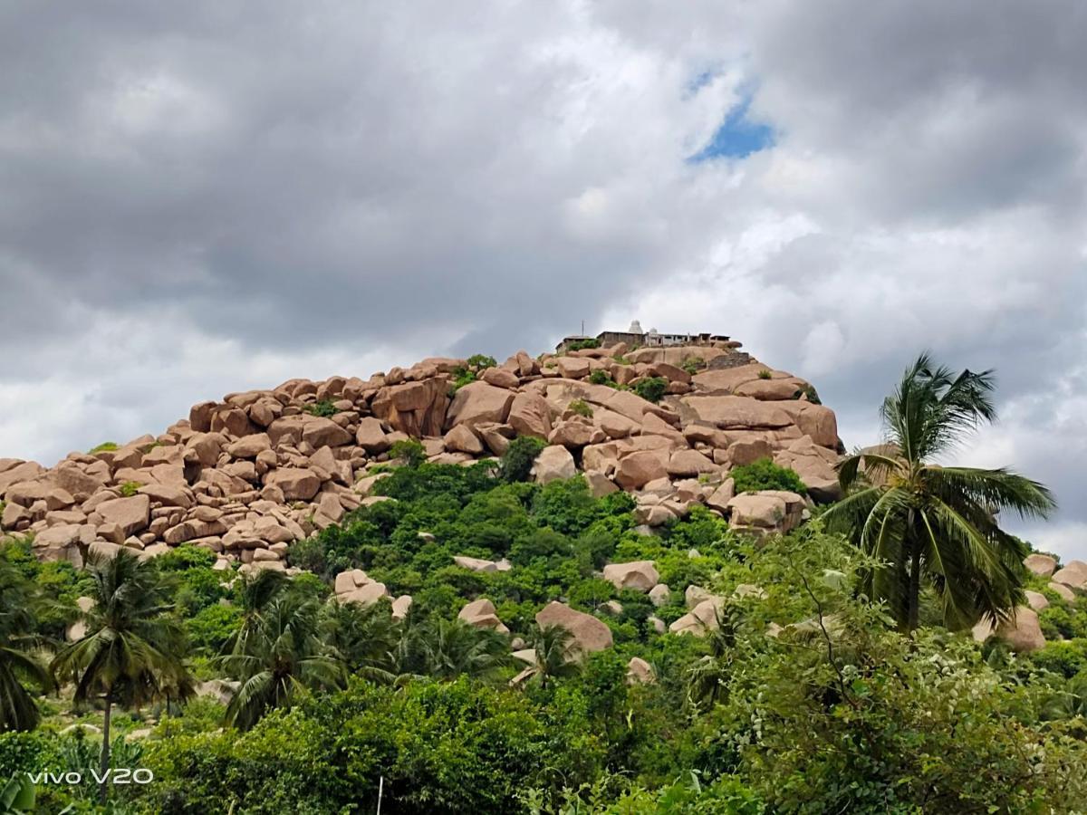 Srinivasa Homestay 함피 외부 사진